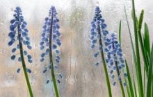 Синоптик розказав, яка погода буде в Україні у перші дні квітня