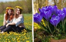 3 апреля будет большой праздник во всем мире: что сделать женщинам для счастья