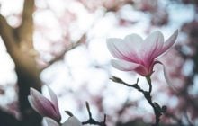 2 квітня погода в Україні покращиться