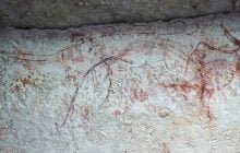 Наскельні малюнки корінних жителів Австралії розкрили правду про тасманійських тигрів (фото)