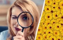 Только 1 из 10 человек найдет оленя на картинке за 7 секунд: очень сложная оптическая иллюзия