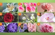 Какой цветок вам нравится больше всего: он расскажет, что делает вас особенным