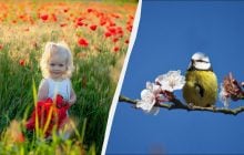 Обряд на здоров'я у свято 4 квітня: що сьогодні потрібно випити зранку