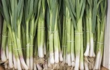 Как не ошибиться при выборе: какие существуют признаки химической обработки зеленого лука