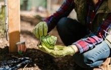 Что посадить в апреле в грунт, теплицу и на рассаду: список, который стоит сохранить