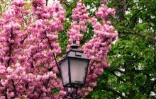 Когда в Одессе потеплеет до +24°: синоптики назвали точную дату (график)