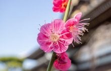 13 квітня погода в Україні нарешті почне покращуватися