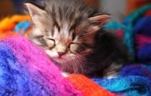 7 квітня в Україні різко похолоднішає: температура впаде по всій країні