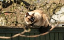 Напередодні вихідних погода в Україні нарешті почне покращуватися