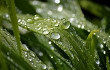 До +18°, але не скрізь: як зміниться погода в Україні цього тижня