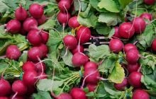 Як уникнути помилок у вирощуванні редиски: головне встигнути спіймати холодну погоду