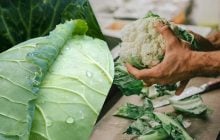 Звичайна капуста проти цвітної: експерти порівняли два овочі та назвали їхні переваги