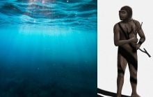 Стародавній підводний світ відкрив науковцям нові подробиці про предків сучасних людей