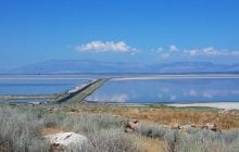 В сверхсоленом озере нашли существо, которое не должно бы там выжить