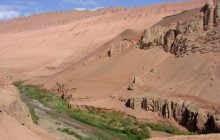 Китай висадив 66 млрд дерев у пустелі розміром із Польщу: що змінилося