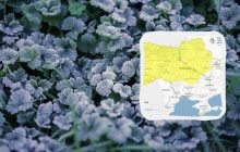 Небезпечні заморозки накриють Україну вже цієї ночі: температура впаде до -3° (карта)