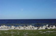 У ньому мешкає 30 тисяч алігаторів: яке одне з найнебезпечніших озер на планеті