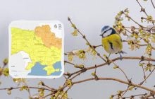 До -3° вже цієї ночі: де в Україні очікується найбільший холод (карта)