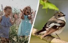 Велике свято в Україні та професійне свято у світі: що робити вдома 9 квітня