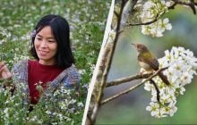 Почему 10 апреля - грустный и опасный день: украинские приметы в праздник сегодня