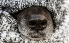 До кінця квітня про справжнє тепло можна забути, - синоптик