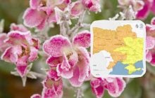 Заморозки атакують Україну ще не одну ніч: синоптики попереджають про небезпеку (карта)