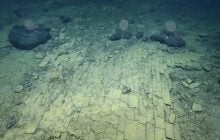 Моторошне видовище: вчені виявили на дні океану жовту "цегляну дорогу" (відео)