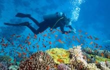 Підводні таємниці: 6 місць, куди дайвери з усього світу мріють потрапити у 2026 році