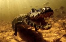 10 мільйонів крокодилів та хижаки-вбивці: цей регіон називають  найнебезпечнішим у світі