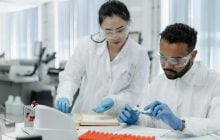 Торгівля дикими тваринами значно підвищує ризик передачі людям небезпечних хвороб, - вчені