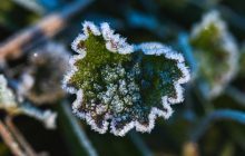 Майже всю Україну скують заморозки: "мінуси" оминуть лише кілька областей (карта)