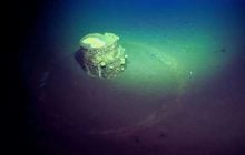 Вчені виявили на дні океану загадкові бочки, оточені дивними білими кільцями