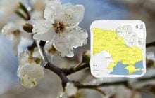 Небезпечні заморозки атакують Україну сьогодні вночі: яким областям приготуватись (карта)