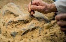 Вчені знайшли скелети віком 7 000 років із ДНК невідомого науці людського виду