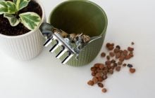 Експерти розвінчали популярний міф: камінці на дні горщика можуть знищити рослини