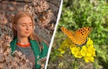 Прийнято вшановувати померлих: яке свято 16 квітня в Україні та його прикмети