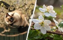 Два незвичайні свята в Україні 18 квітня: що потрібно зробити, щоб рік був щасливим