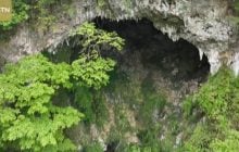 У Китаї вчені виявили гігантський ліс на глибині 200 метрів під землею