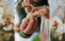 19 апреля: Антипасха - как праздновать и что не советуют нести на кладбище