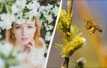 Прикмети та звичаї 20 квітня: яке сьогодні свято і чому не можна дивитися у вікно