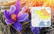 Украинцев ждет опасное явление: синоптики рассказали, кого коснется (карта)