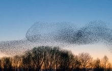 Под кладбищем Нью-Йорка нашли 5,6 миллиона живых существ: ученые ошеломлены