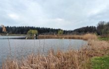 Доброгостів: розслабляючий похід до мальовничого озера з Трускавця