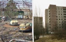 Чи є в Прип'яті мутанти: вчений розповів, хто населяє місто-привид
