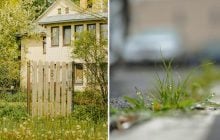 Чим полити бур'яни вздовж паркану: пропадають наступного дня