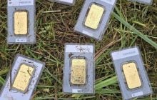 У Німеччині чоловік знайшов золоті злитки на 40 000 євро під час стрижки газону