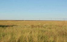 Сотні вагонів і кілька локомотивів: що відомо про найдовший поїзд з Книги рекордів Гіннеса