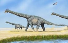 В Аргентині пастух знайшов рештки 20-метрового динозавра, який змінює уявлення про еволюцію