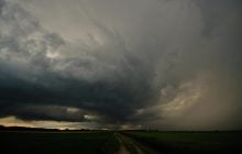 Загадка труни, що "впала з неба": через 127 років вчені розкрили таємницю останків