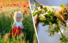 24 квітня - свято молоді: що сьогодні зазвичай готують згідно з народними прикметами